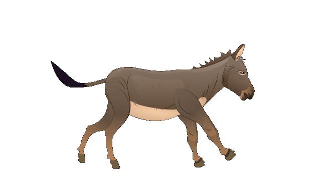 Donkey