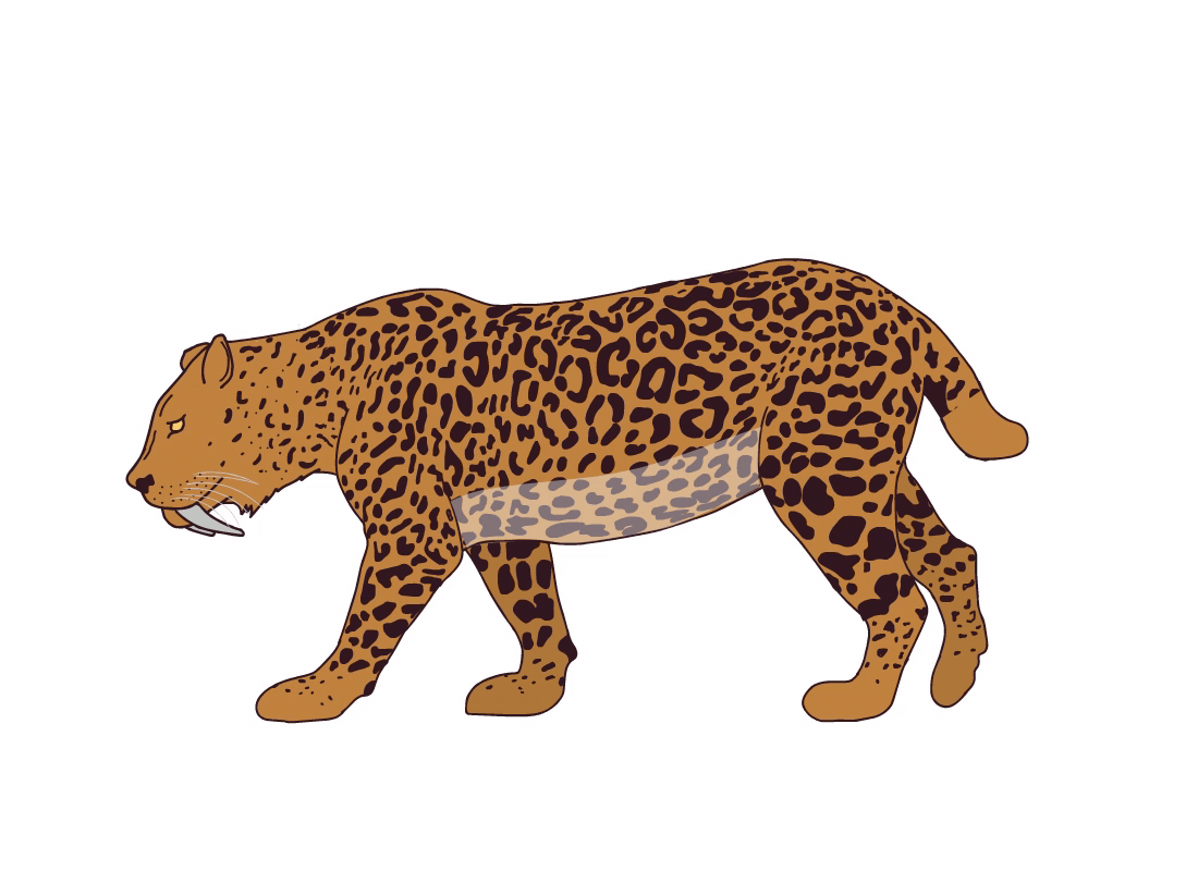 Saber tooth tiger